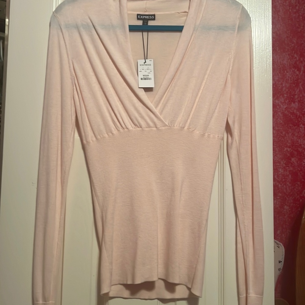 NWT Express Soft pink Sweater